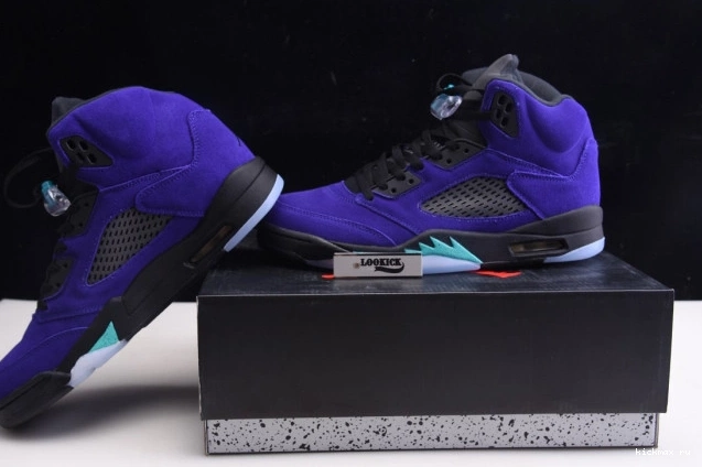 Rep MAX 136027-500 Retro Air Jordan Alternate 5 Grape 0715